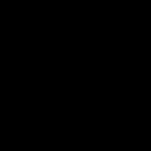 Meet your Posher, Tyra